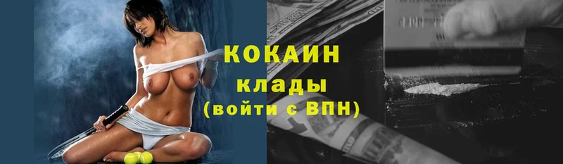 Cocaine FishScale  блэк спрут как войти  Ужур 